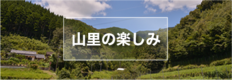 山里の楽しみ